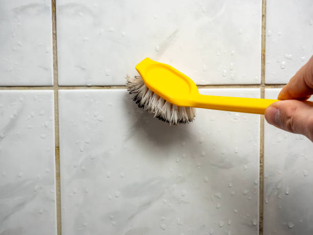 Best Mold Cleaning Services  in Halawa, HI