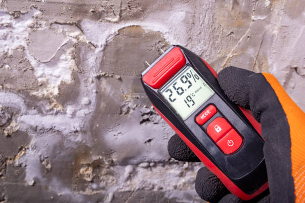 Best Residential Mold Removal  in Halawa, HI