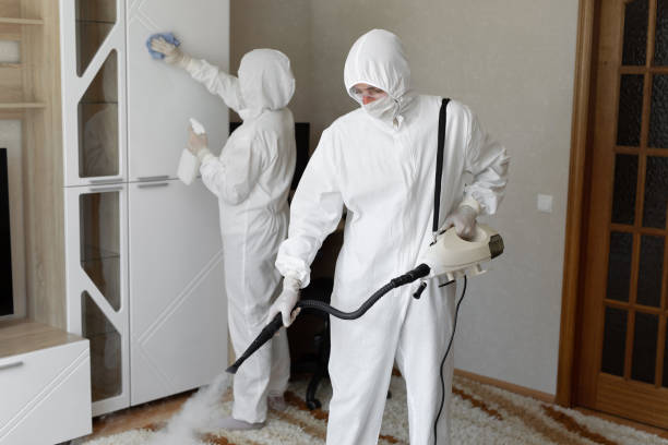 Crawl Space Mold Removal in Halawa, HI