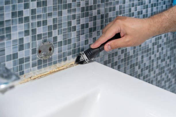 Best Professional Mold Removal  in Halawa, HI