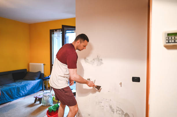 Best Mold Removal Near Me  in Halawa, HI